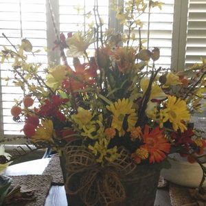 Meet your Posher, Marilyn